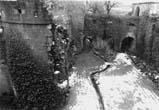 Gallery 6